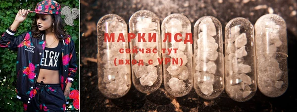 СК Абинск
