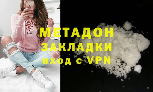 стаф Алзамай