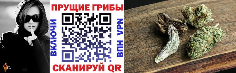 Галлюциногенные грибы Psilocybine cubensis  купить  сайты  Нюрба 
